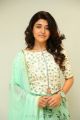 Actress Chitra Shukla Images HD @ Silly Fellows First Look Launch