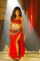 Actress Chitrangada Singh Hot Stills in Anjaan Tamil Movie