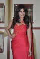 Chitrangada Singh Launches Femina Bridal CoverPage Photos