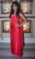 Chitrangada Singh Launches Femina Bridal CoverPage Photos