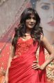 Chitrangada Singh at the Bridal Coverpage launch  of Femina Magazine at Reliance Jewels