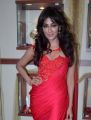 Chitrangda Singh Launches Femina Bridal Cover Page Photos