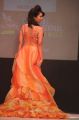 CIFW Season 4 Day 1 Ramesh Dembla Fashion Show Stills