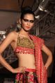 Chennai International Fashion Week 2012 Day 1 Ramesh Dembla Show