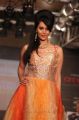 CIFW Season 4 Day 1 Ramesh Dembla Fashion Show Stills