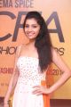 Cinema Spice Fashion Awards 2014 Photos