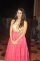 Shravya Reddy at Cinema Mahila Awards 2013 Photos