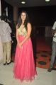 Shravya Reddy at Cinemaa Mahila Awards 2013 Photos