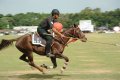 CM Cup Polo Final Match @ Secunderabad