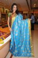 Hyderabad Model Diksha Panth in Silk Saree Photos