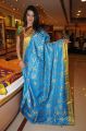 Hyderabad Model Diksha Panth in Silk Saree Photos