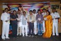 Company Audio Launch Stills