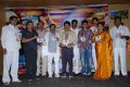 Company Audio Launch Stills