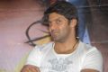 Tamil Actor Arya at Crazy Movie Success Meet Stills