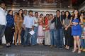 Stars cricket Crescent Cricket Cup (CCC) Press Meet Stills