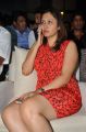 Jwala Gutta @ Crescent Cricket Cup Trophy Launch Photos