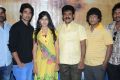 Cut Chesthe Audio Success Meet Stills