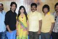 Cut Chesthe Audio Success Meet Stills