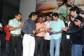 Cut Chesthe Movie Audio Release Function Photos