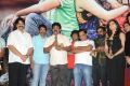 Cut Chesthe Movie Audio Release Function Photos