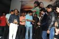 Cut Chesthe Movie Audio Release Function Photos