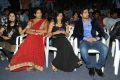 Cut Chesthe Movie Audio Launch Function Photos