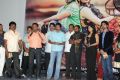 Cut Chesthe Movie Audio Release Function Photos