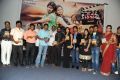 Cut Chesthe Movie Audio Launch Function Photos