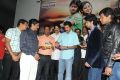 Cut Chesthe Movie Audio Release Function Photos