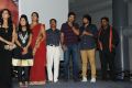 Cut Chesthe Movie Audio Launch Function Photos