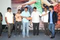 Cut Chesthe Movie Audio Release Function Photos