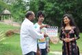 Cut Chesthe Movie Launch Photos