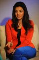 Cute Kajal Agarwal Interview about Baadshah Movie Photos