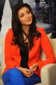 Cute Actress Kajal Interview about Baadshah Movie Photos