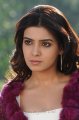 Cute Pictures of Samantha in Dookudu