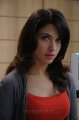 Cute Tamanna Pics in Oosaravelli