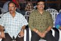 D Ante D Platinum Disc Function Stills