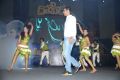 D for Dopidi Audio Release Photos