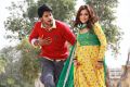 Sandeep Kishan, Nisha Agarwal in DK Bose Telugu Movie Photos