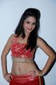 Actress Zareena at Dabur Vatika Star Contest 2012 Grand Finale Photos
