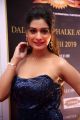 Actress Payal Rajput @ Dadasaheb Phalke Awards South 2019 Red Carpet Photos