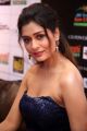 Actress Payal Rajput @ Dadasaheb Phalke Awards South 2019 Red Carpet Photos