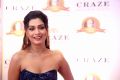 Payal Rajput @ Dadasaheb Phalke Awards South 2019 Red Carpet Photos