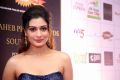 Payal Rajput @ Dadasaheb Phalke Awards South 2019 Red Carpet Photos