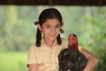 Sara Arjun in Dagudumootha Dandakor Telugu Movie Stills