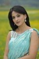 Actress Anushka Hot Saree Photos in Damarukam Movie