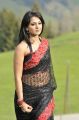 Damarukam Anushka Hot in Saree Latest Photos