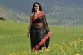 Actress Anushka Hot Saree Photos in Damarukam Movie