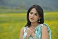 Damarukam Anushka in Saree Latest Photos