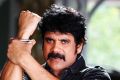 Actor Nagarjuna in Damarukam Movie Pics